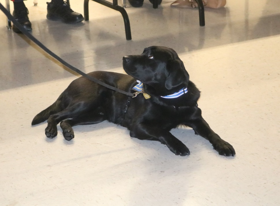 MJPS welcomes new facility dog - DiscoverMooseJaw.com - Local news ...